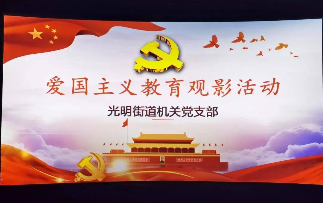 玄风鹦鹉刚到家，不睡觉怎么办？游戏画面